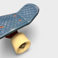 Swell 22" Complete