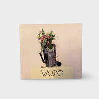 Isle Vase Skateboarding DVD