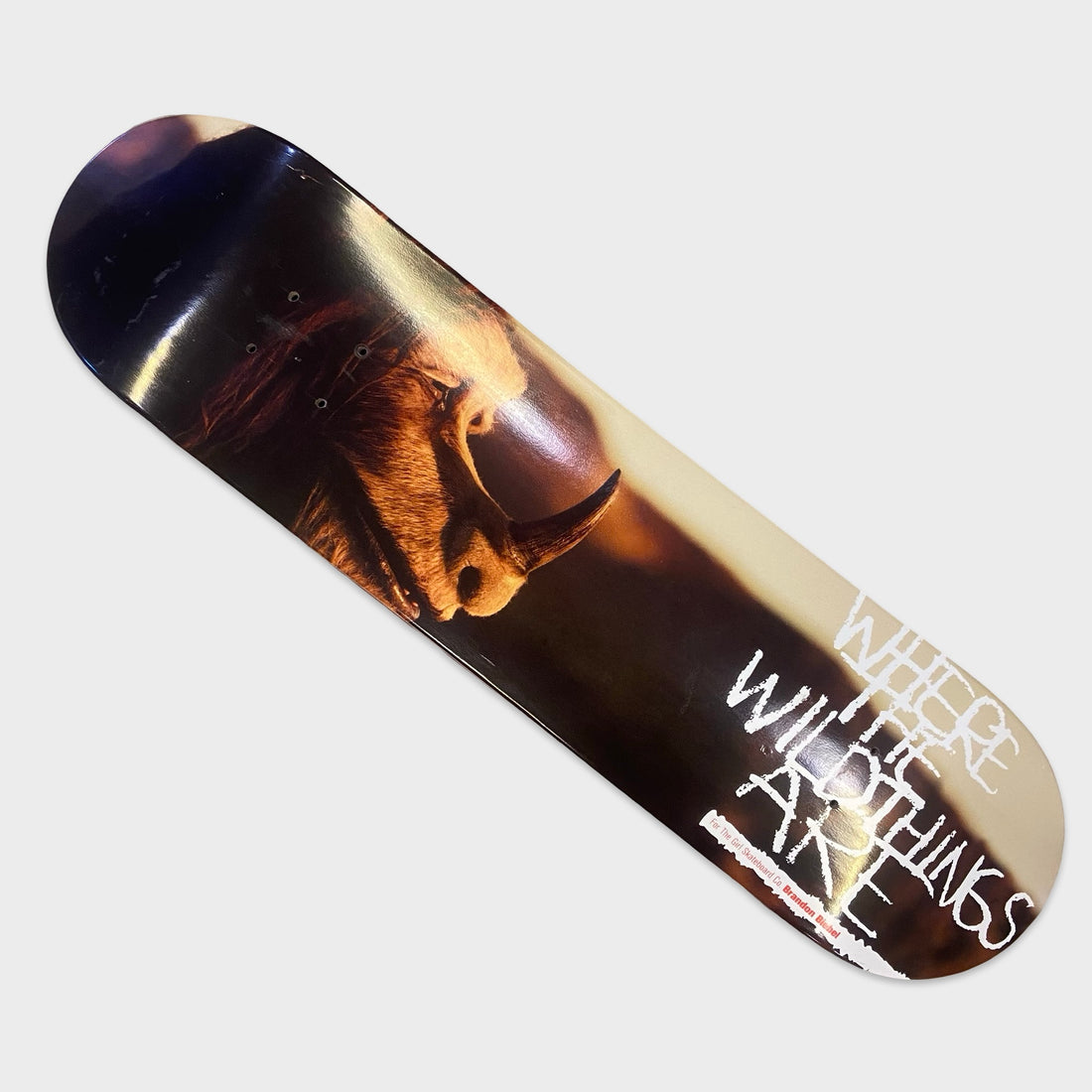 Girl Skateboards Where The Wild Things Are Brandon Biebel Vinatge Deck - Krudco. Skateshop