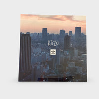 Adidas Skateboarding DVD's