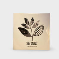 Magenta Skateboards Just Cruise Skateboarding DVD