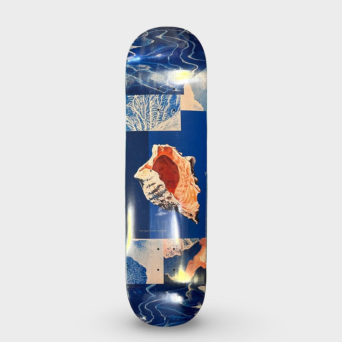 Coda 8.63" Caleb Shank Skateboard Deck